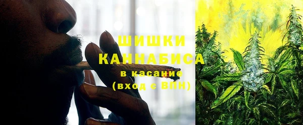 первитин Покачи